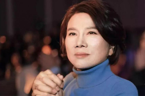 董老板500億財(cái)力準(zhǔn)備，助力芯片行業(yè)發(fā)展